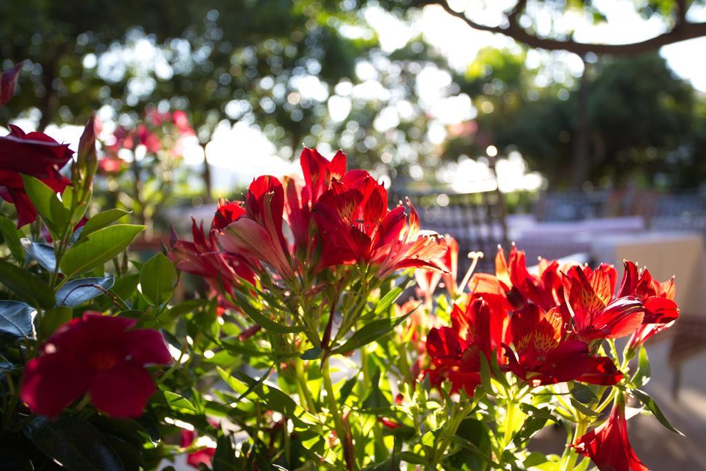 Hotel Villa Barbat Barbat na Rabu Exteriér fotografie